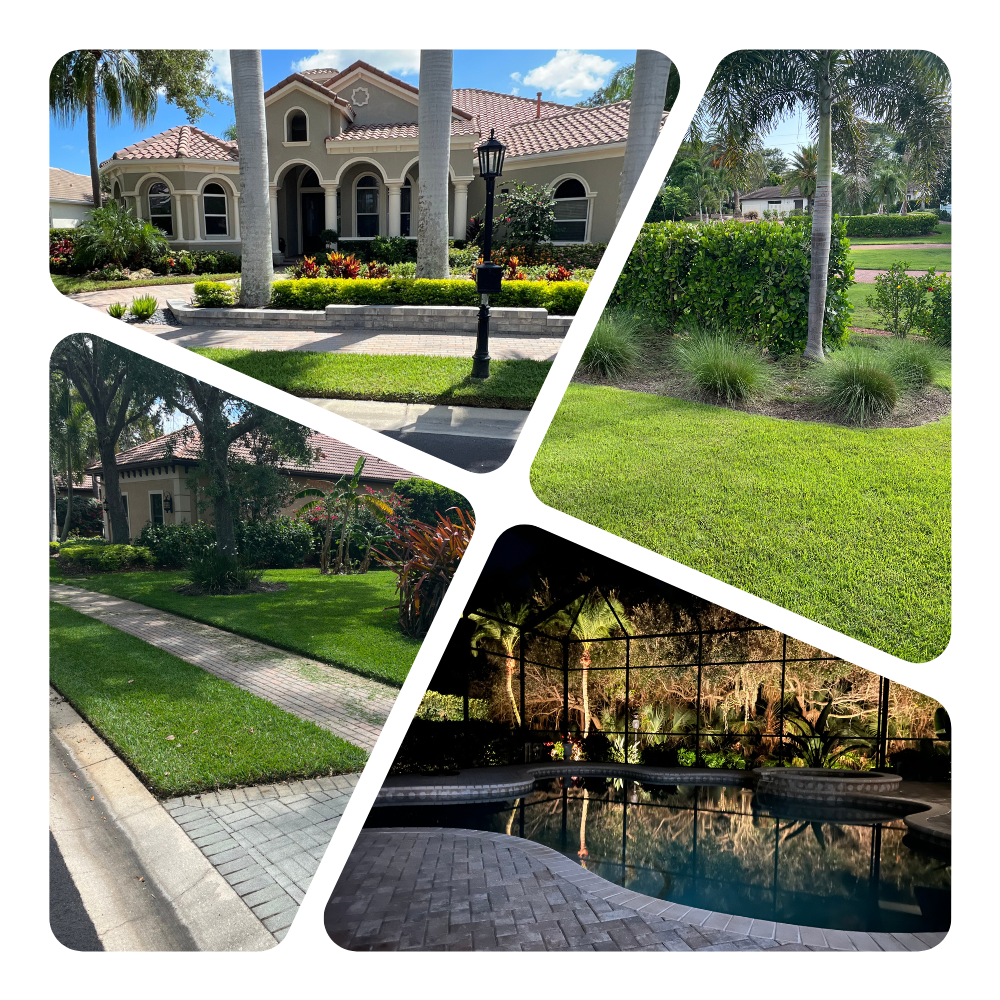 In Bloom Lawn & Landscape